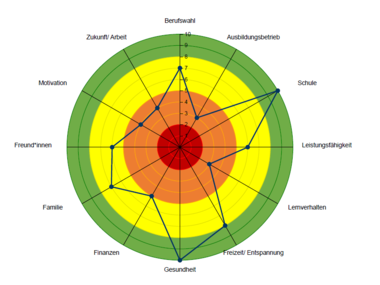 Mehrere bunte Kreise wie eine Zielscheibe mit Stichworten wie Zukunft, Motivation, Finanzen.